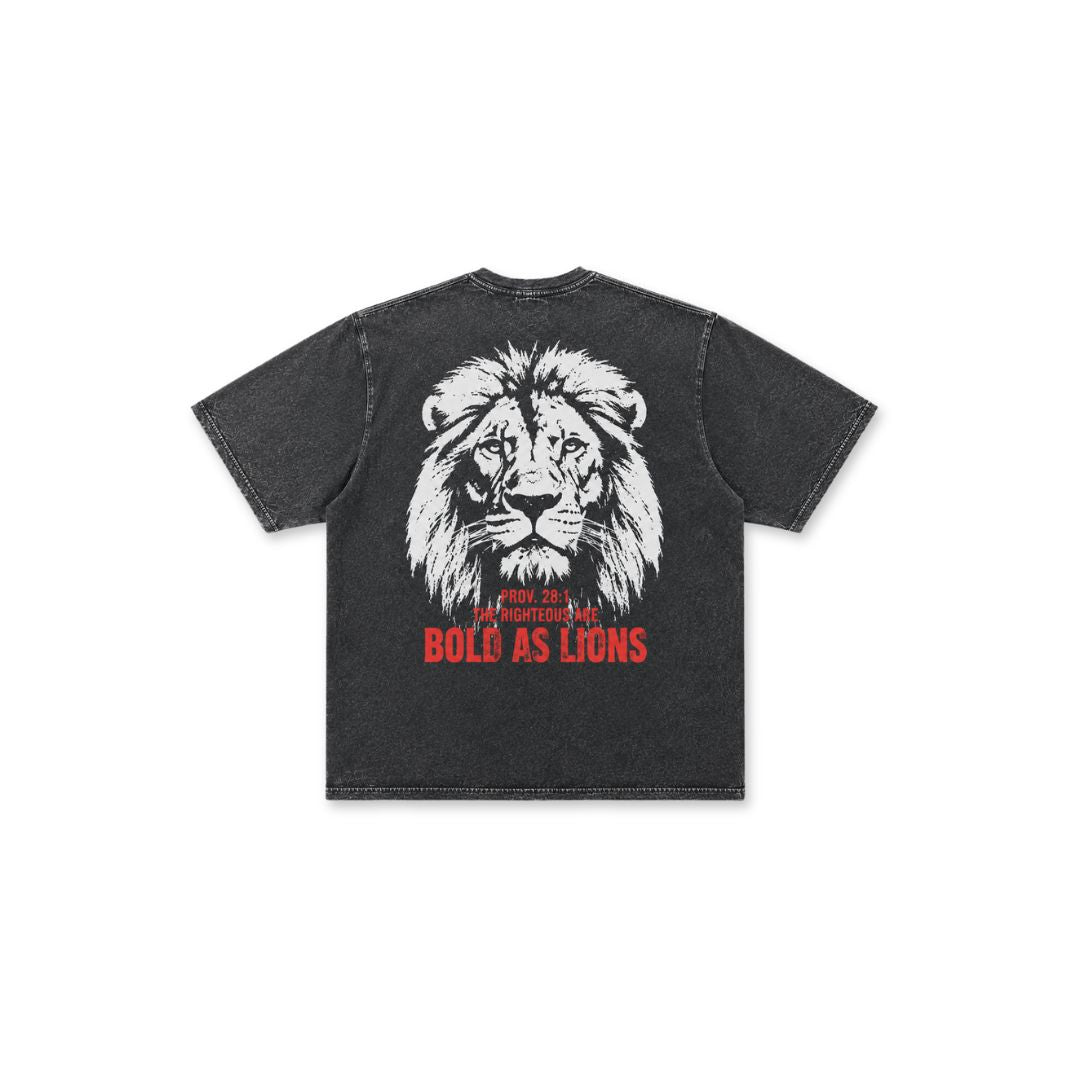 WIJ Bold as Lions Tee | Proverbs 28:1 - Acid Wash