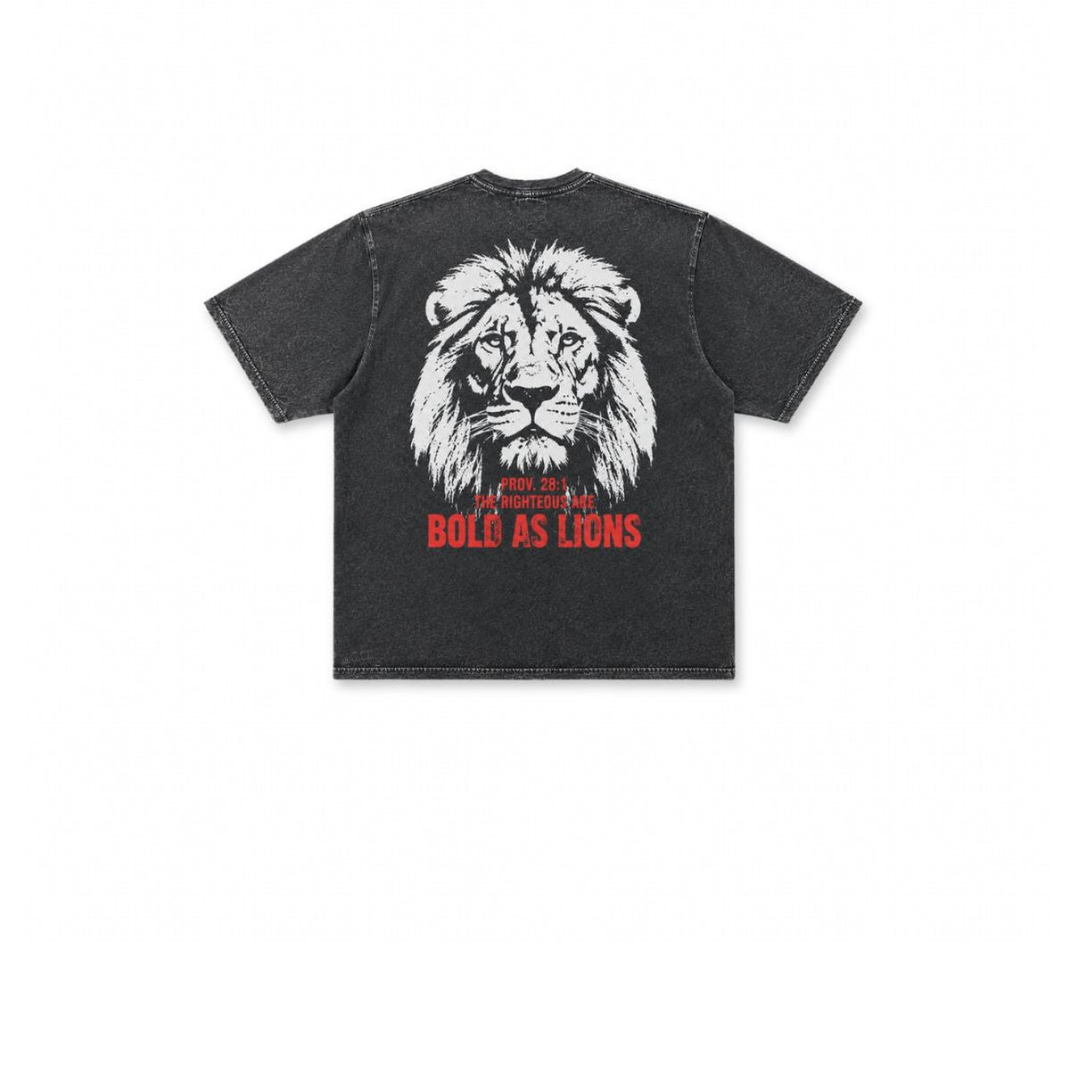 Acid wash Bold as Lions tee with lion graphic, Proverbs 28:1